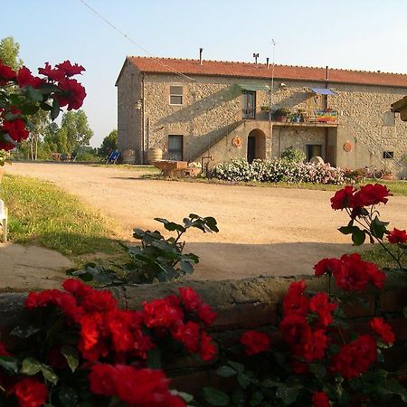 Agriturismo La Valentina Nuova Villa Talamone Exterior foto