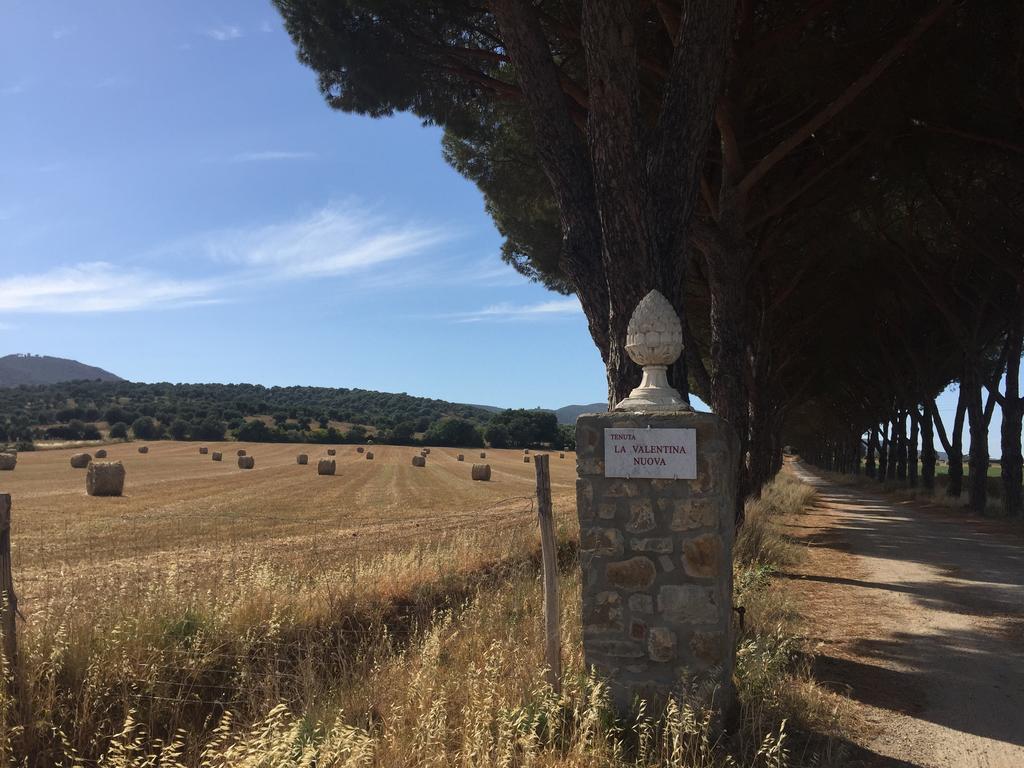 Agriturismo La Valentina Nuova Villa Talamone Exterior foto