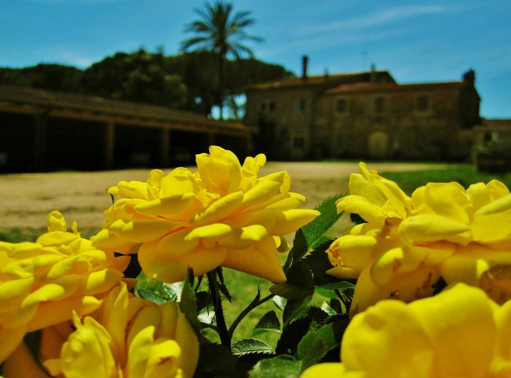 Agriturismo La Valentina Nuova Villa Talamone Exterior foto