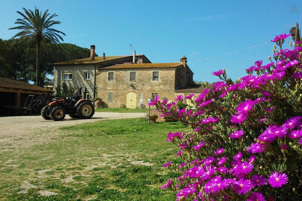 Agriturismo La Valentina Nuova Villa Talamone Exterior foto