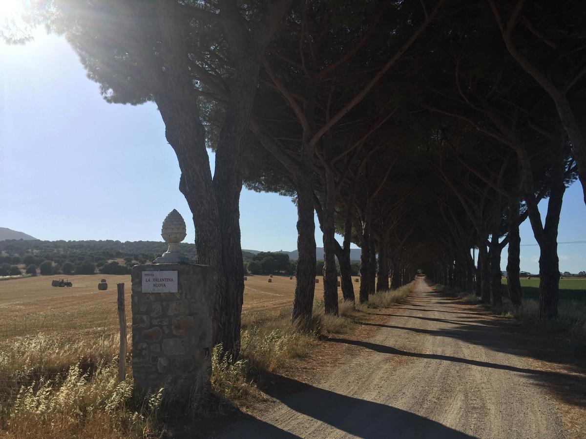 Agriturismo La Valentina Nuova Villa Talamone Exterior foto