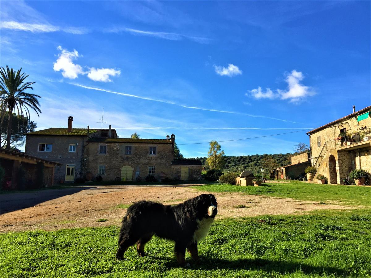 Agriturismo La Valentina Nuova Villa Talamone Exterior foto